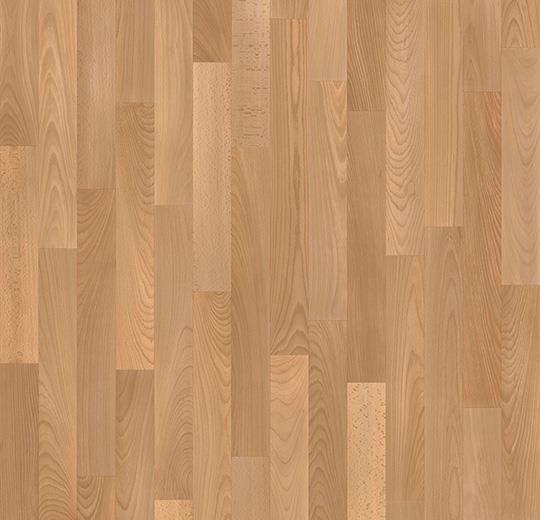 010042 steamed beech *