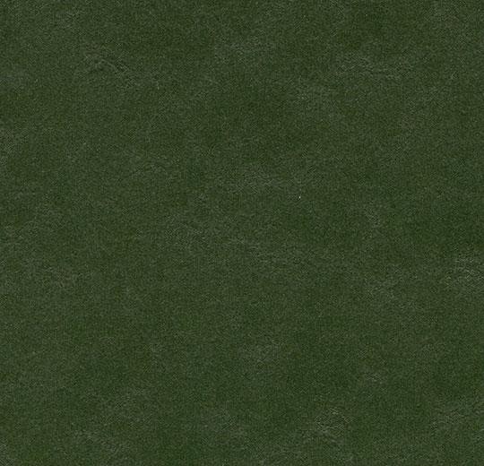 335935 bottle green