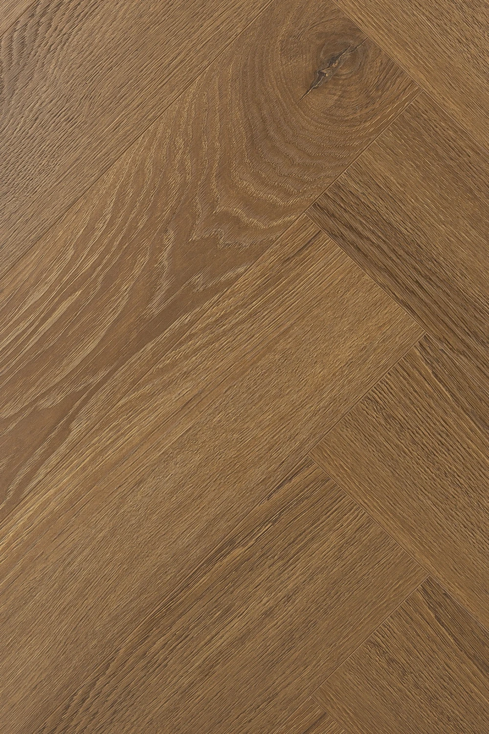 Дуб Серено | Sereno oak 1F343