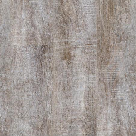 Audrey