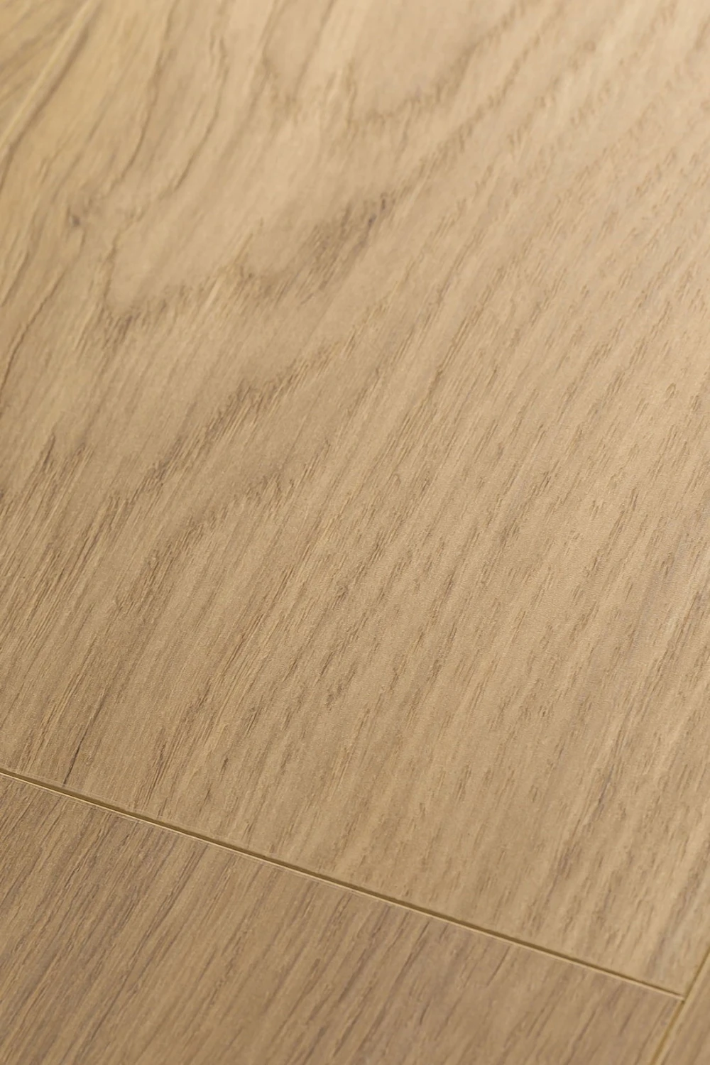 Дуб Констанция | Constanzo oak 1F319