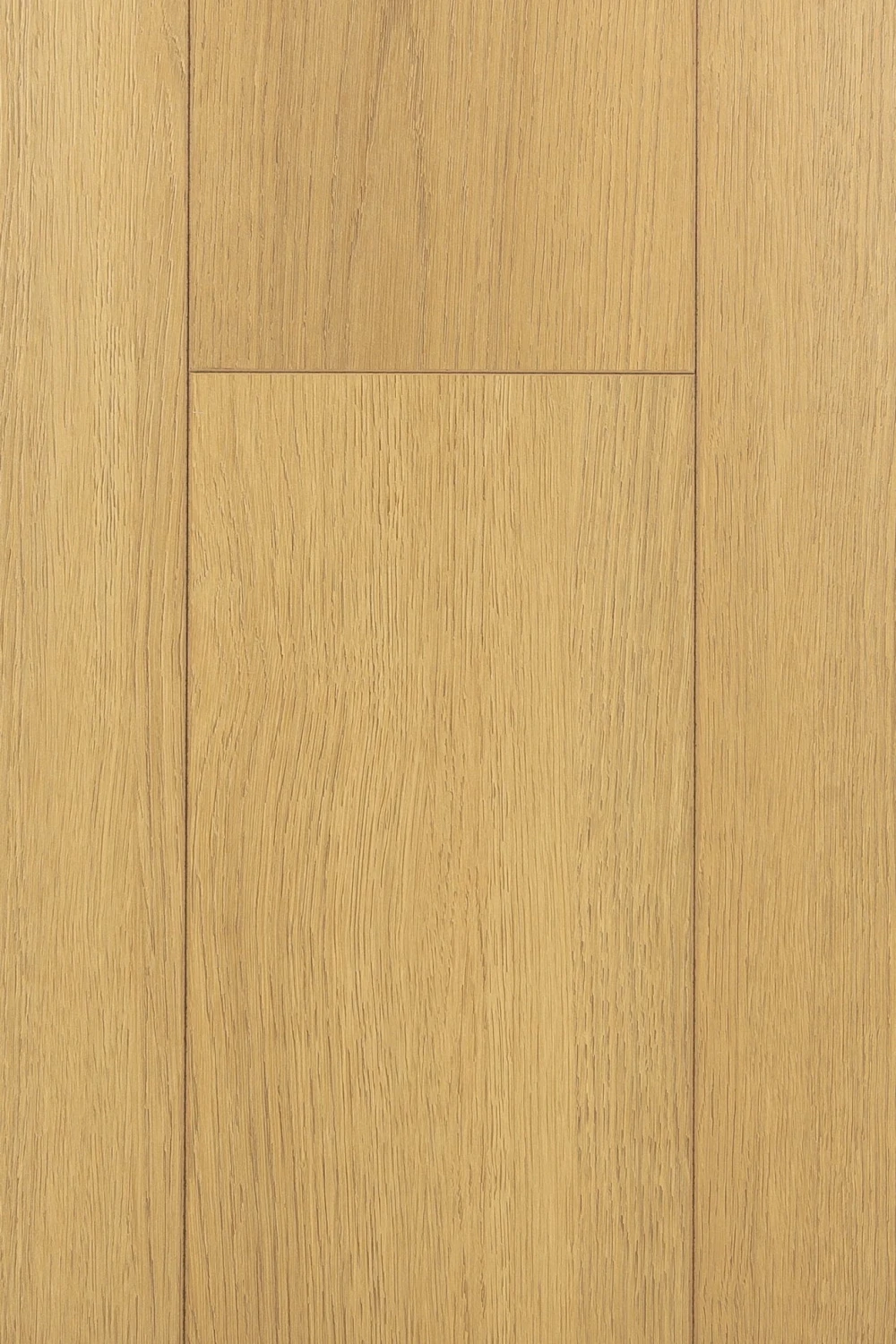 Дуб Терра | Terra oak 1F422