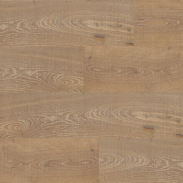 Japanese Oak Graggy