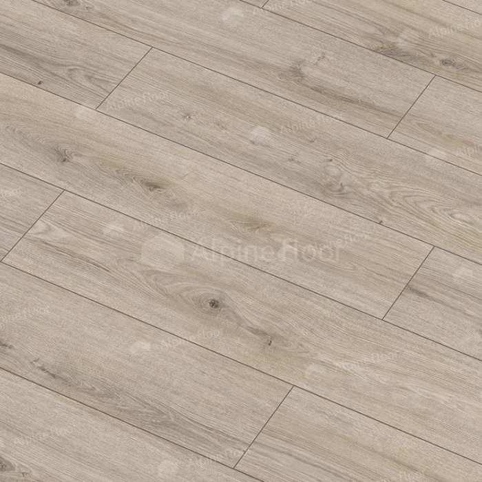 Дуб Ордос 62760