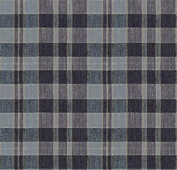 590014 Plaid Denim